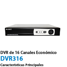DVR 316