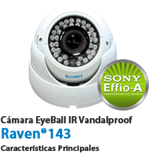 Raven 143